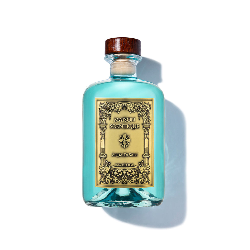 Renaissance Diffuser Aqua Di Sale 500ml
